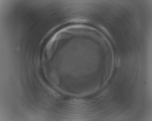 X0000081360531200702082323