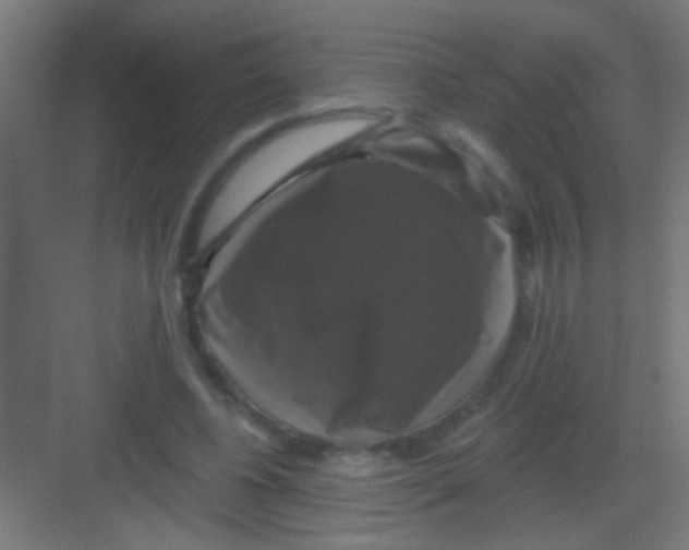 X0000081360540200702082323