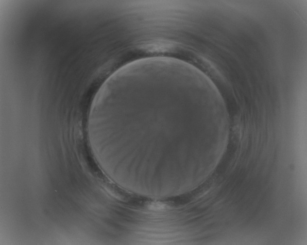 X0000081360547200702082323