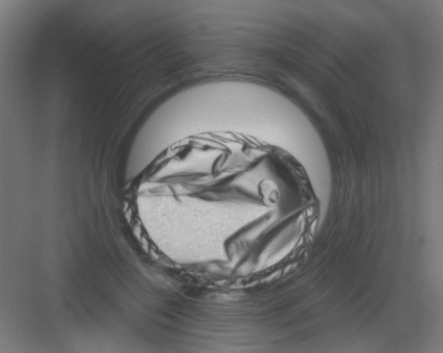 X0000081360548200702082323