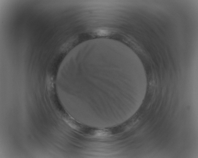 X0000081360555200702082323