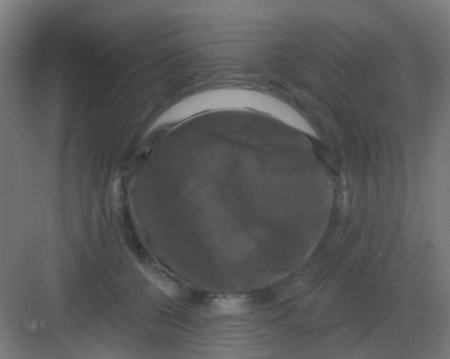 X0000081360560200702082323