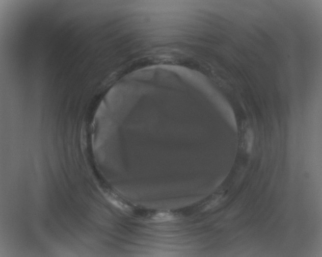 X0000081360562200702082323