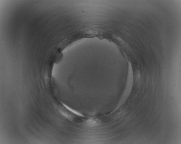 X0000081360566200702082323