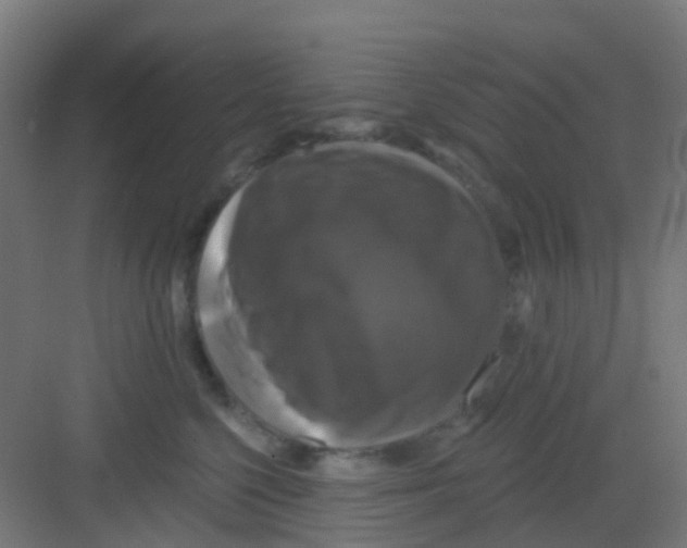 X0000081360568200702082323