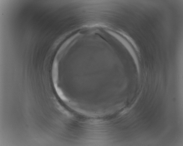 X0000081360577200702082323