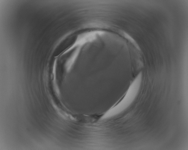 X0000081360580200702082323