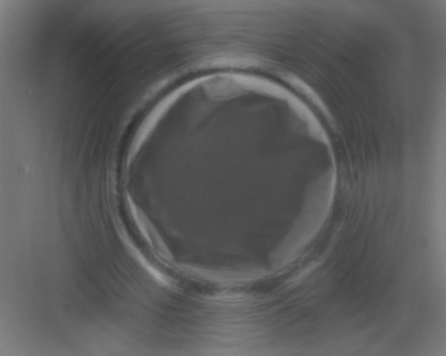 X0000081360581200702082322