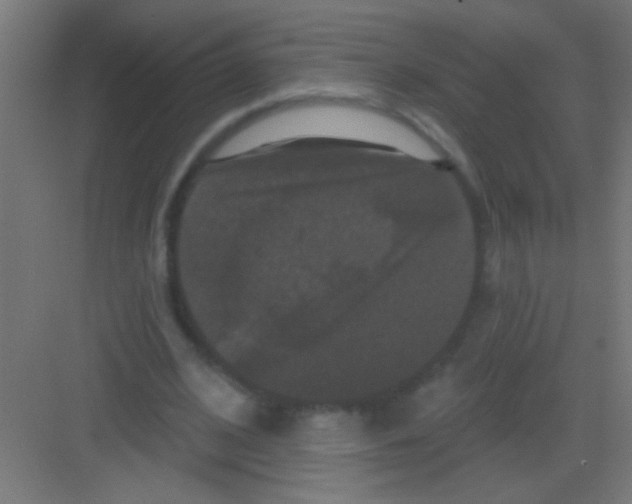 X0000081360584200702082322