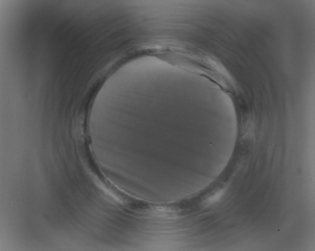 X0000081360585200702082322