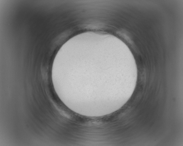 X0000081360586200702082322