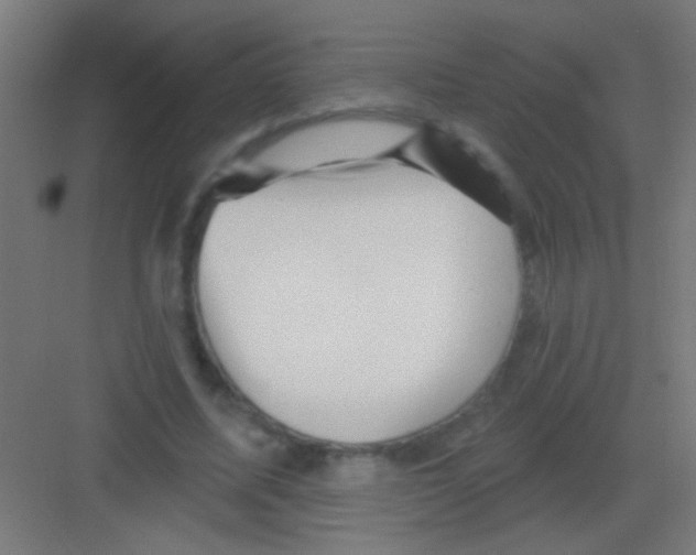 X0000081360587200702082322