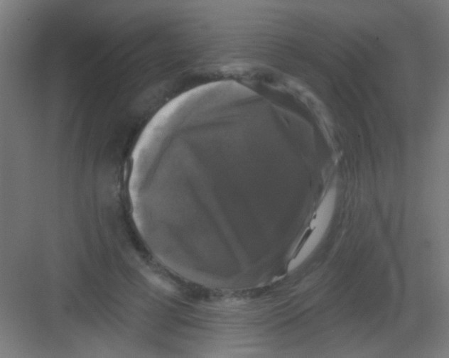 X0000081360593200702082322