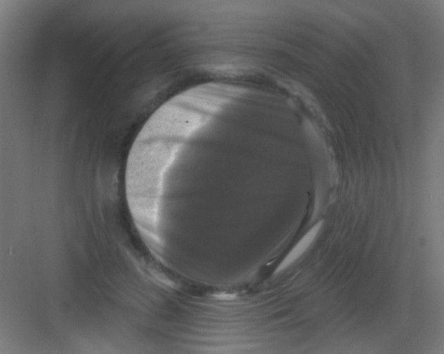 X0000081360596200702082322