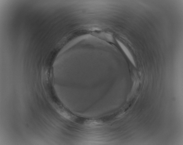 X0000081360597200702082322