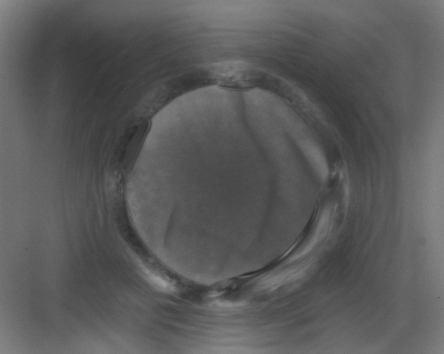 X0000081360601200702082322