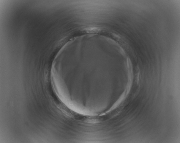X0000081360604200702082322
