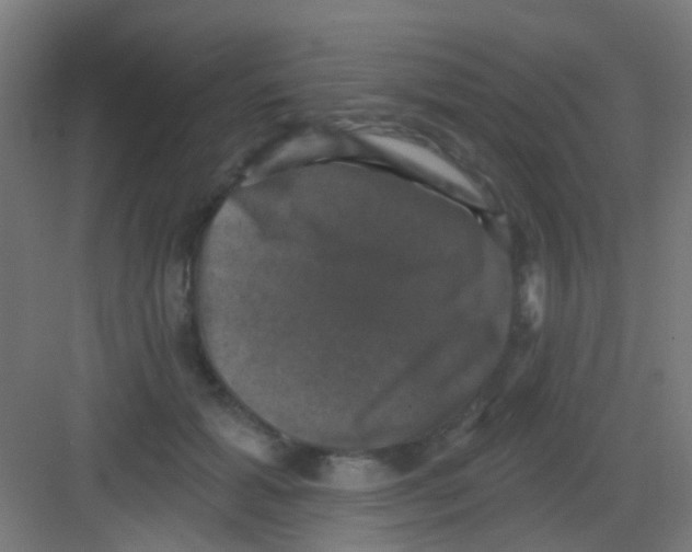 X0000081360605200702082322