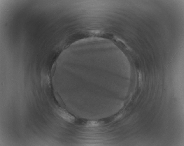 X0000081360613200702082322