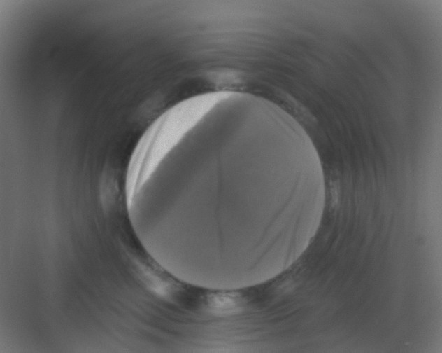 X0000081360618200702082322