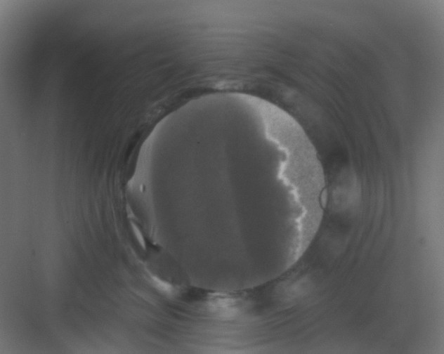 X0000081360620200702082322