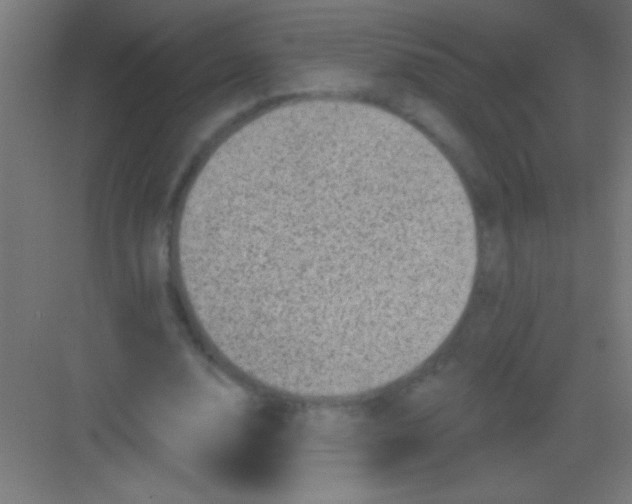 X0000081360632200702082321