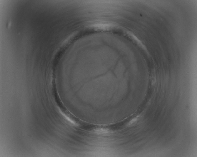 X0000081360637200702082321