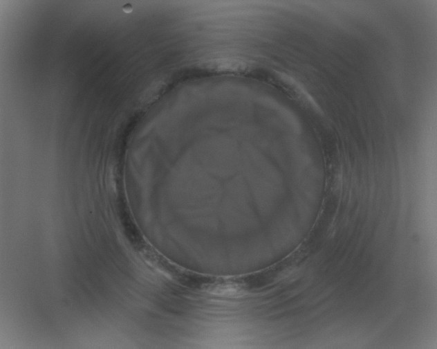 X0000081360643200702082321