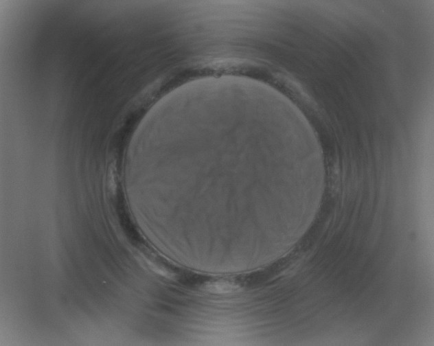 X0000081360644200702082321