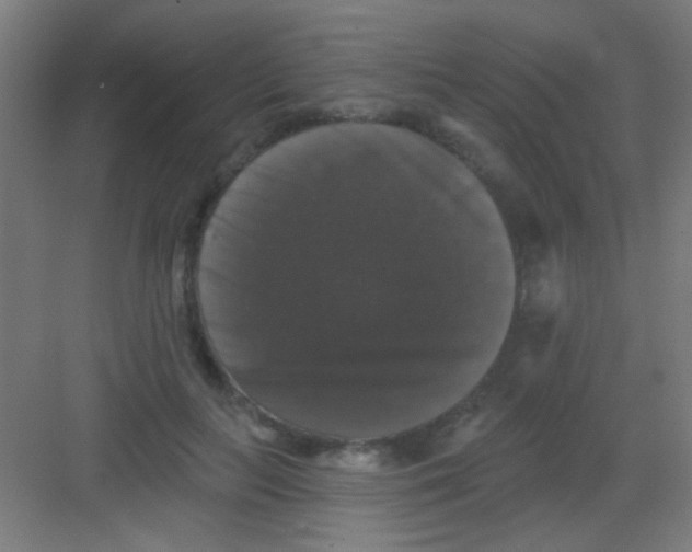 X0000081360647200702082321