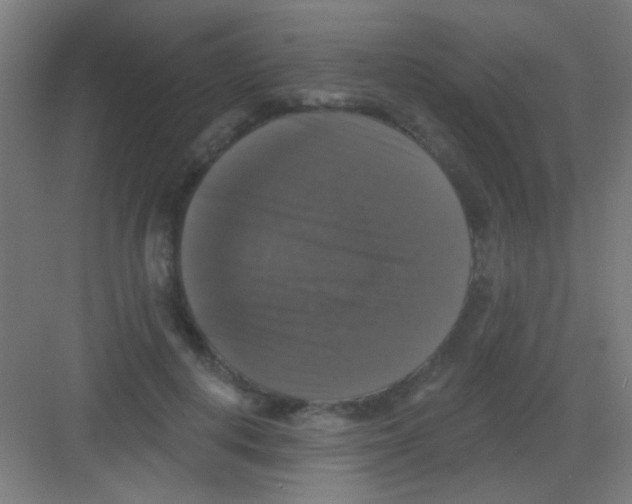 X0000081360648200702082321