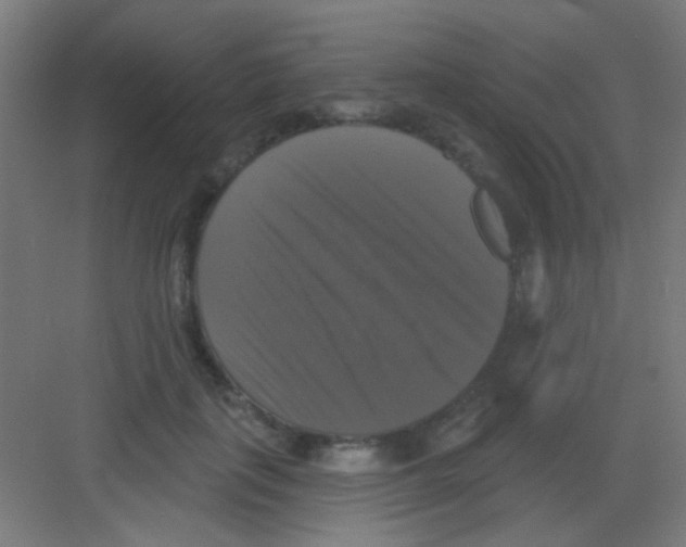 X0000081360651200702082321