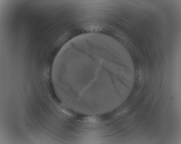 X0000081360652200702082321