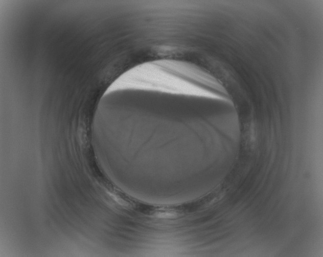 X0000081360653200702082321