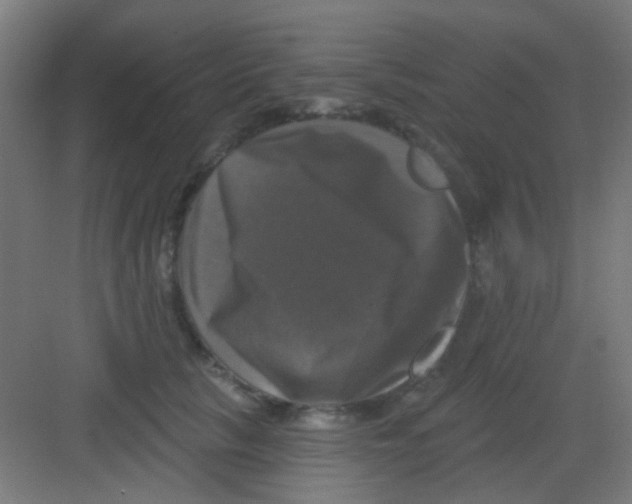 X0000081360657200702082322