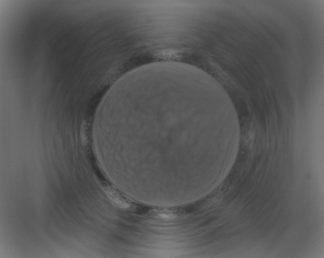 X0000081360658200702082322