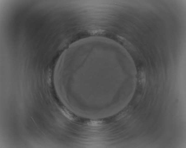 X0000081360664200702082322