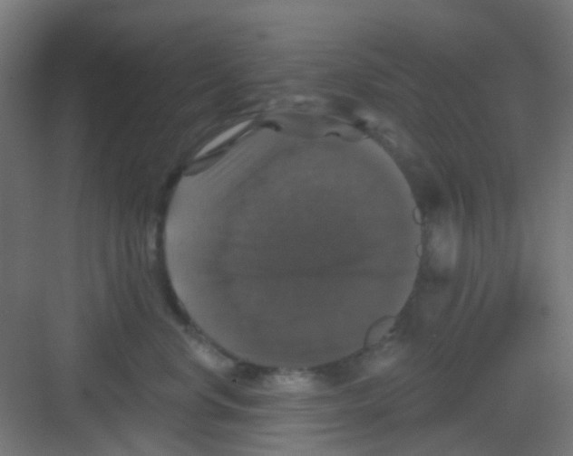 X0000081360668200702082322