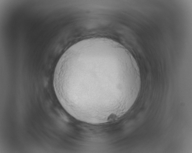 X0000081360672200702082322
