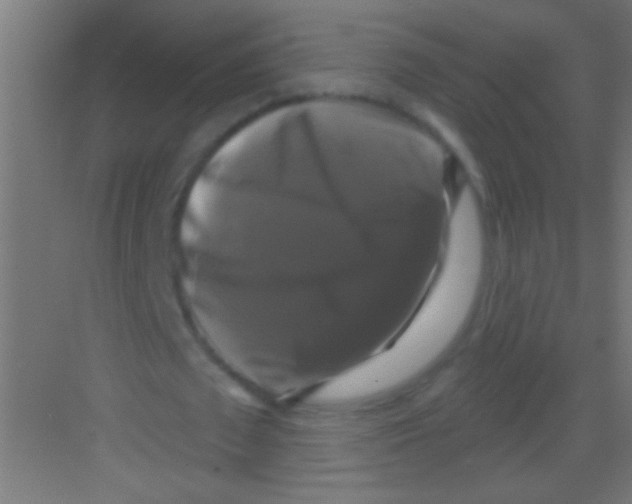 X0000081360673200702082321