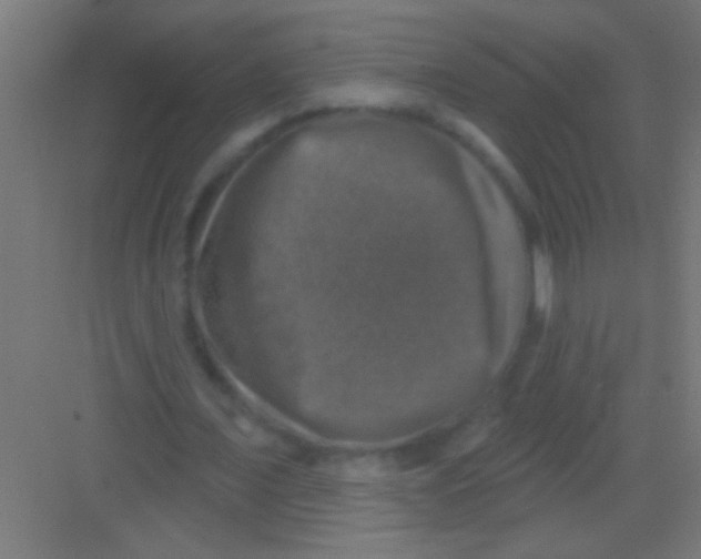 X0000081360675200702082321