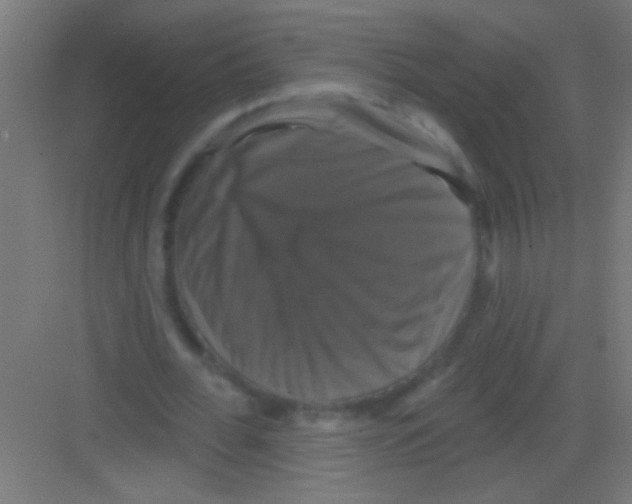 X0000081360676200702082321