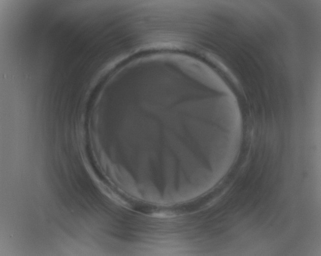 X0000081360677200702082321