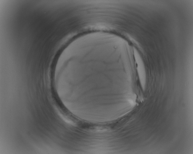 X0000081360678200702082321