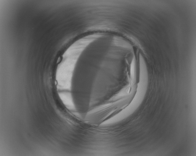 X0000081360680200702082321