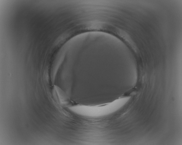 X0000081360681200702082321