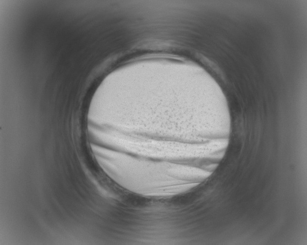 X0000081360682200702082321
