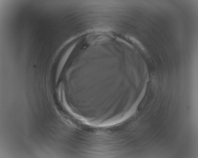 X0000081360684200702082321
