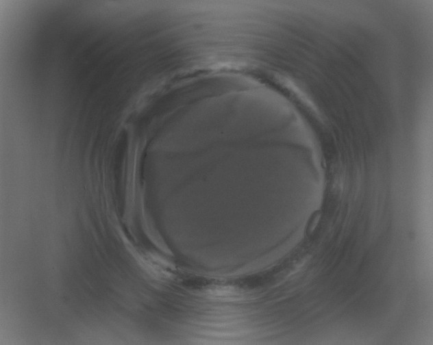 X0000081360685200702082321