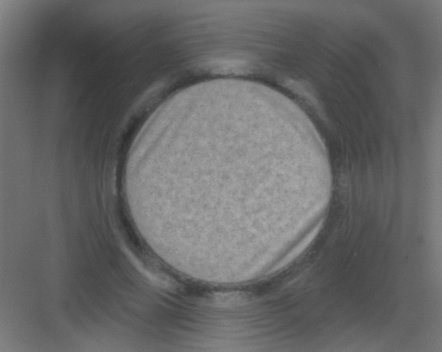 X0000081360686200702082321